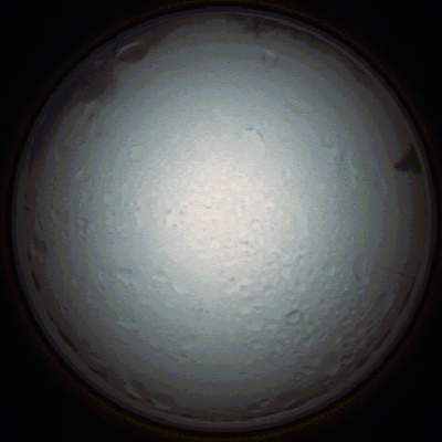 capture_202111280800_4925.Png