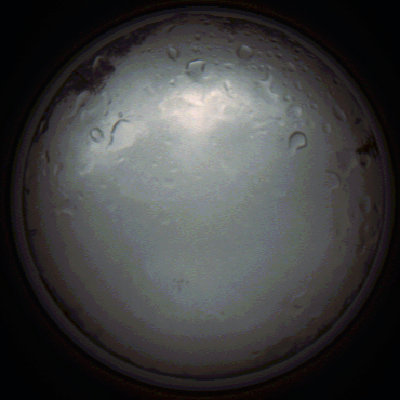 capture_202111281334_5259.Png