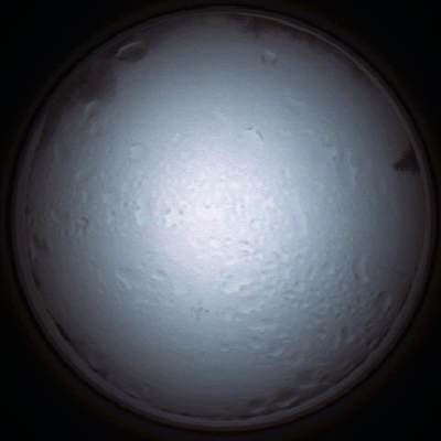 capture_202111280842_4967.Png