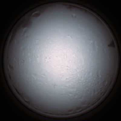 capture_202111280835_4960.Png