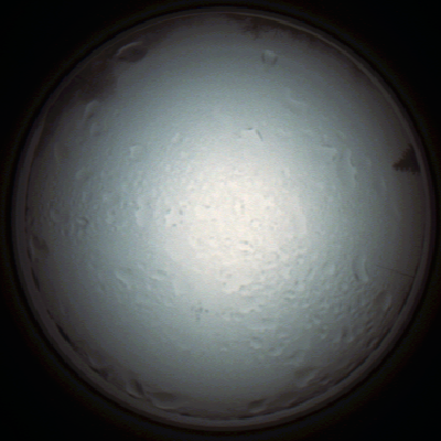 capture_202111280829_4954.Png