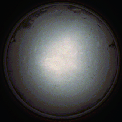 capture_202111281354_5279.Png