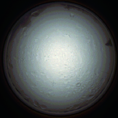 capture_202111280804_4929.Png