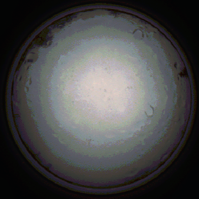 capture_202111281447_5332.Png