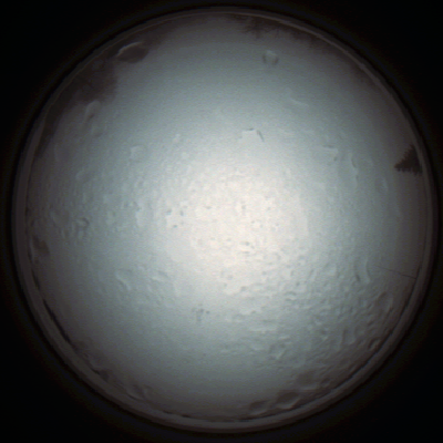 capture_202111280851_4976.Png