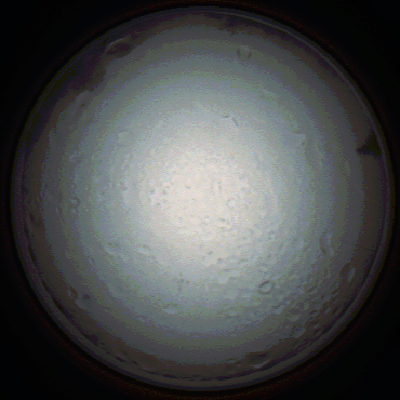 capture_202111280749_4914.Png