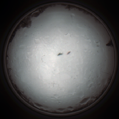 capture_202111281318_5243.Png