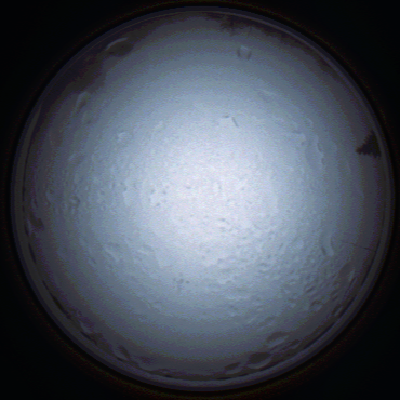capture_202111280817_4942.Png