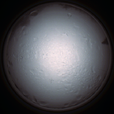 capture_202111280831_4956.Png
