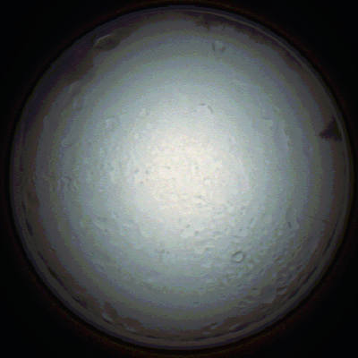 capture_202111280802_4927.Png