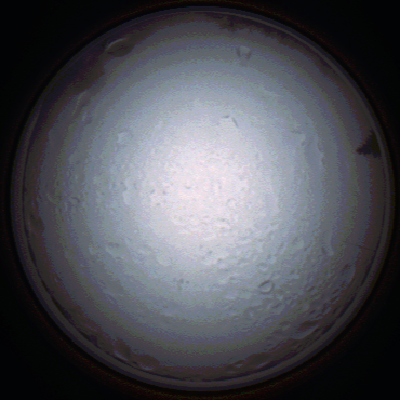 capture_202111280805_4930.Png