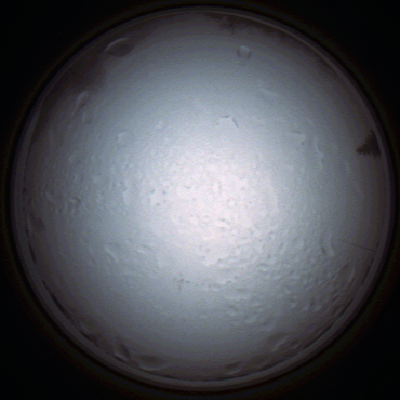 capture_202111280828_4953.Png