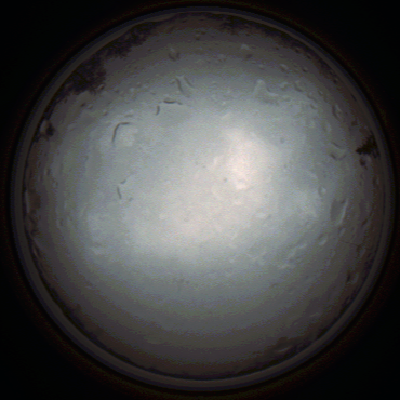capture_202111281332_5257.Png