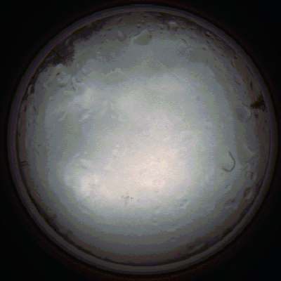 capture_202111281336_5261.Png