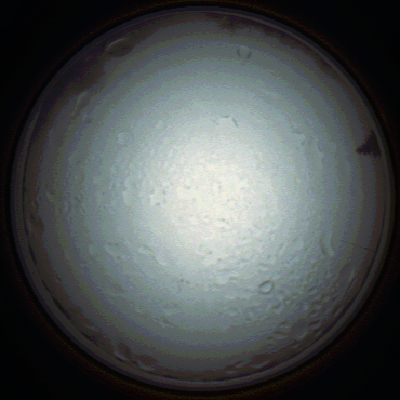 capture_202111280803_4928.Png