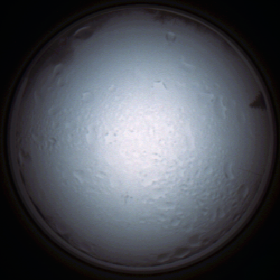 capture_202111280843_4968.Png