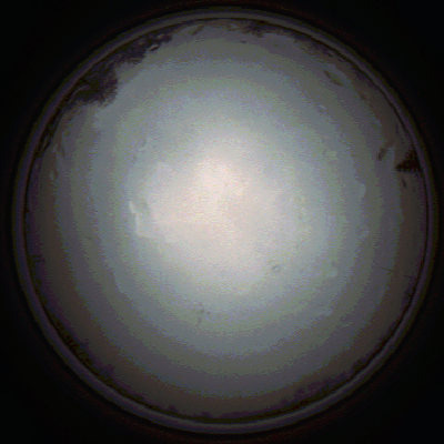 capture_202111281349_5274.Png
