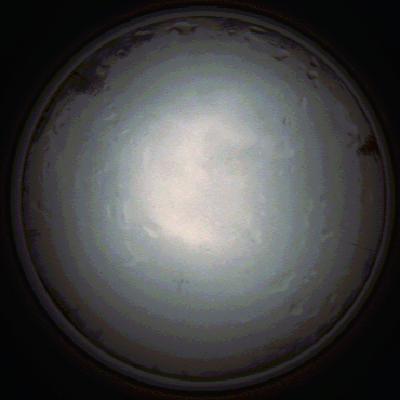capture_202111281356_5281.Png