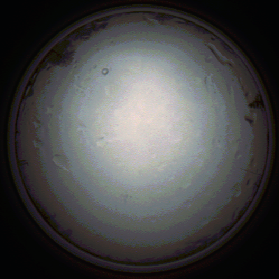 capture_202111281405_5290.Png