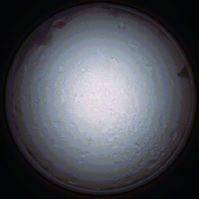 capture_202111280809_4934.Png