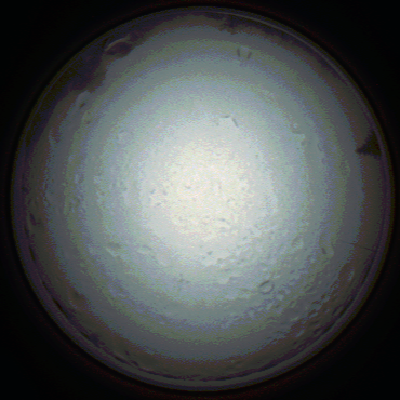 capture_202111280754_4919.Png