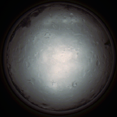 capture_202111281329_5254.Png