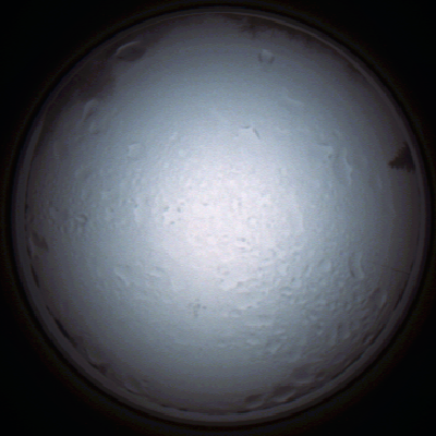 capture_202111280844_4969.Png