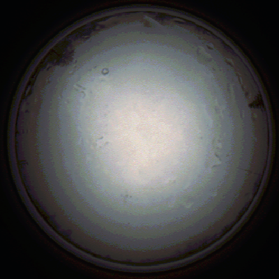 capture_202111281406_5291.Png