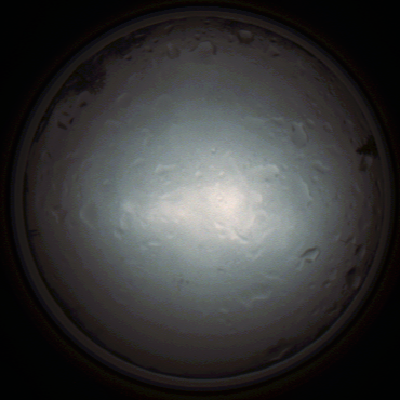 capture_202111281337_5262.Png