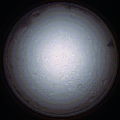 capture_202111280806_4931.Png