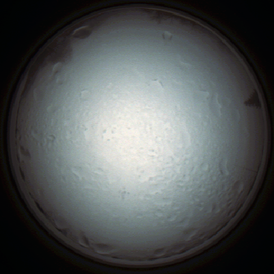 capture_202111280830_4955.Png