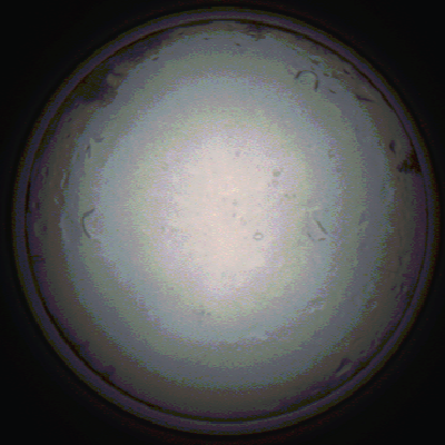 capture_202111281444_5329.Png