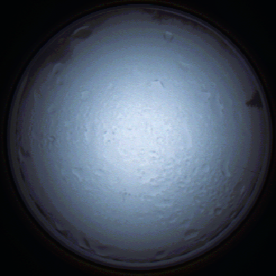 capture_202111280824_4949.Png