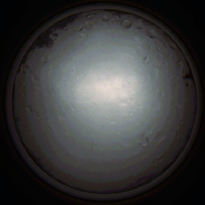 capture_202111281340_5265.Png