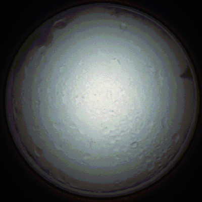 capture_202111280755_4920.Png