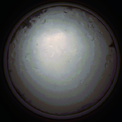 capture_202111281341_5266.Png