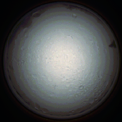 capture_202111280758_4923.Png