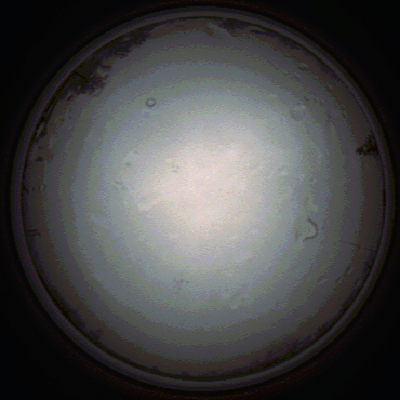 capture_202111281407_5292.Png
