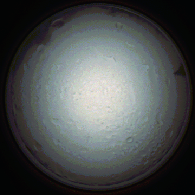 capture_202111280752_4917.Png