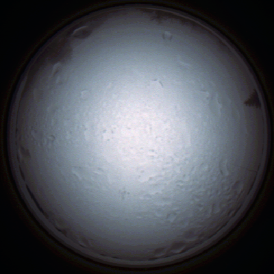 capture_202111280849_4974.Png