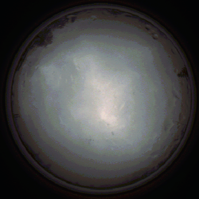 capture_202111281358_5283.Png