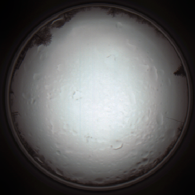 capture_202111281312_5237.Png
