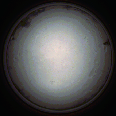 capture_202111281404_5289.Png