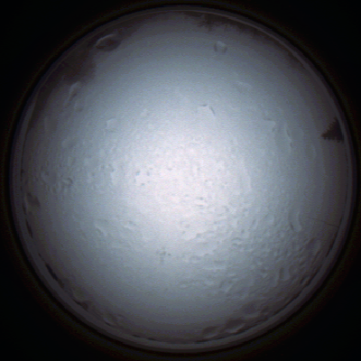 capture_202111280847_4972.Png