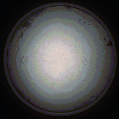 capture_202111281445_5330.Png