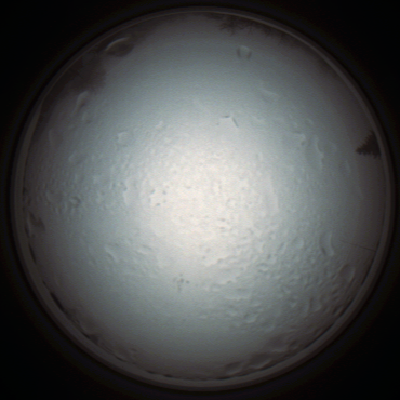 capture_202111280840_4965.Png