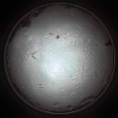 capture_202111281323_5248.Png