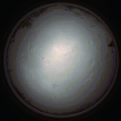 capture_202111281351_5276.Png