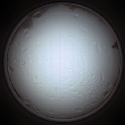 capture_202111280928_5013.Png