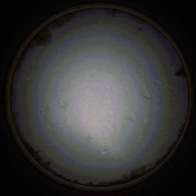 capture_202111290730_5446.Png